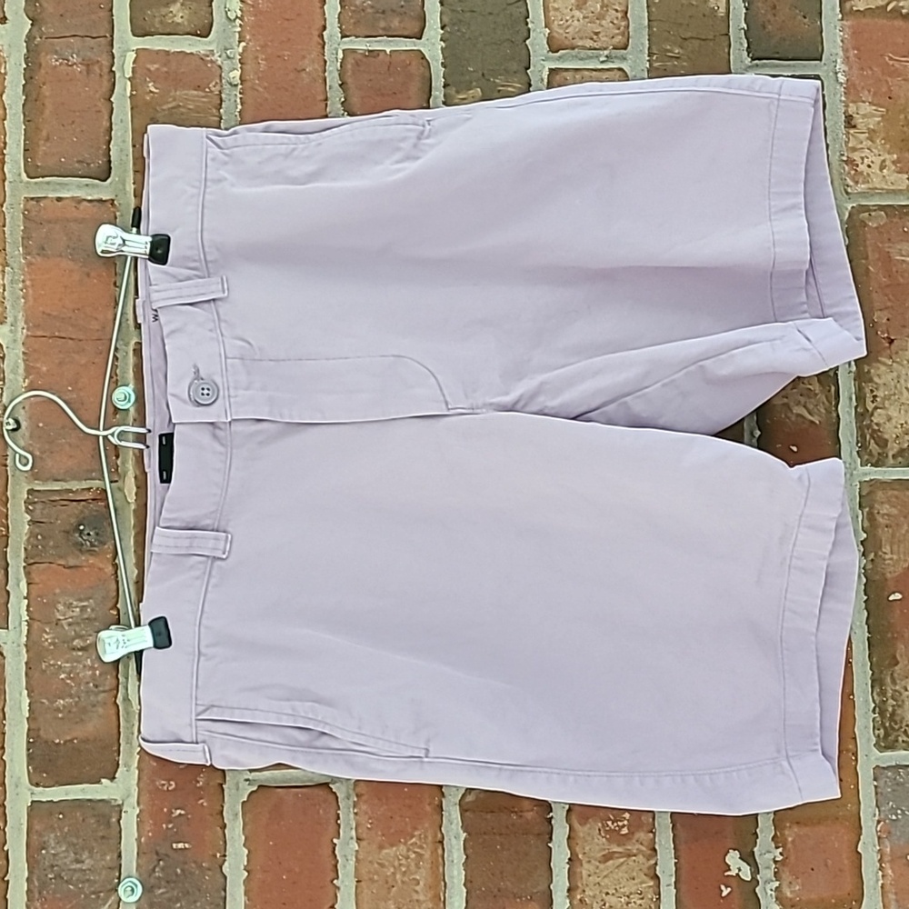 Men's Lavender J. Crew Shorts (Size 34")